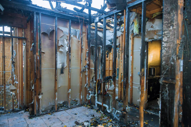 Professional Fire Damage Removal technician working in Key Vista, FL